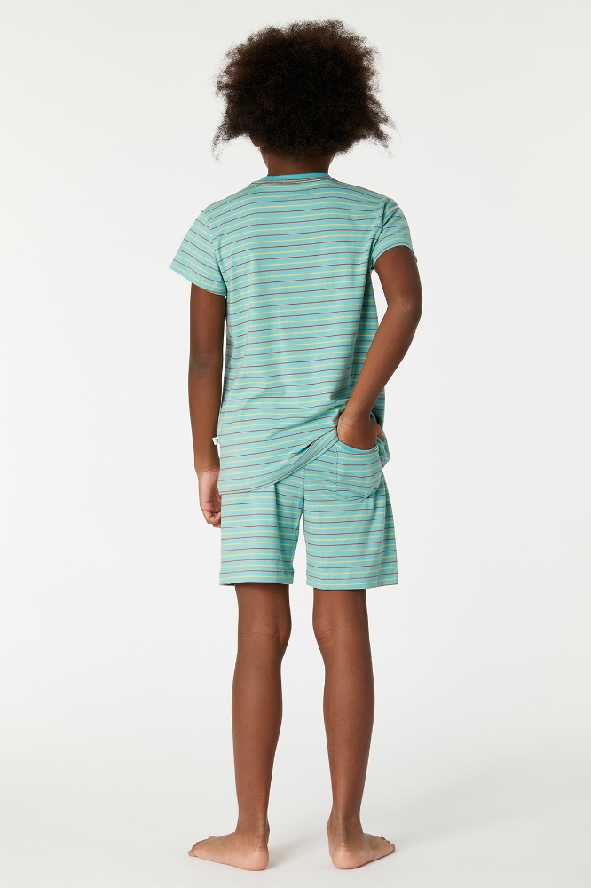 10-16 Yaş Erkek Çocuk Pijama-Pza - 978-Mandril Temalı Çizgili Yeşil