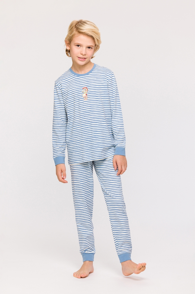 2-8 Yaş Erkek Çocuk Pijama-Plc - 921-Deniz Atı Temalı Çizgili Mavi