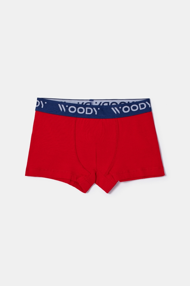 Boxer-Cld - 032 Pony Combo 2