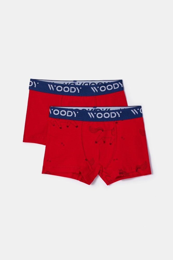 Boxer-Cld - 032 Pony Combo 2