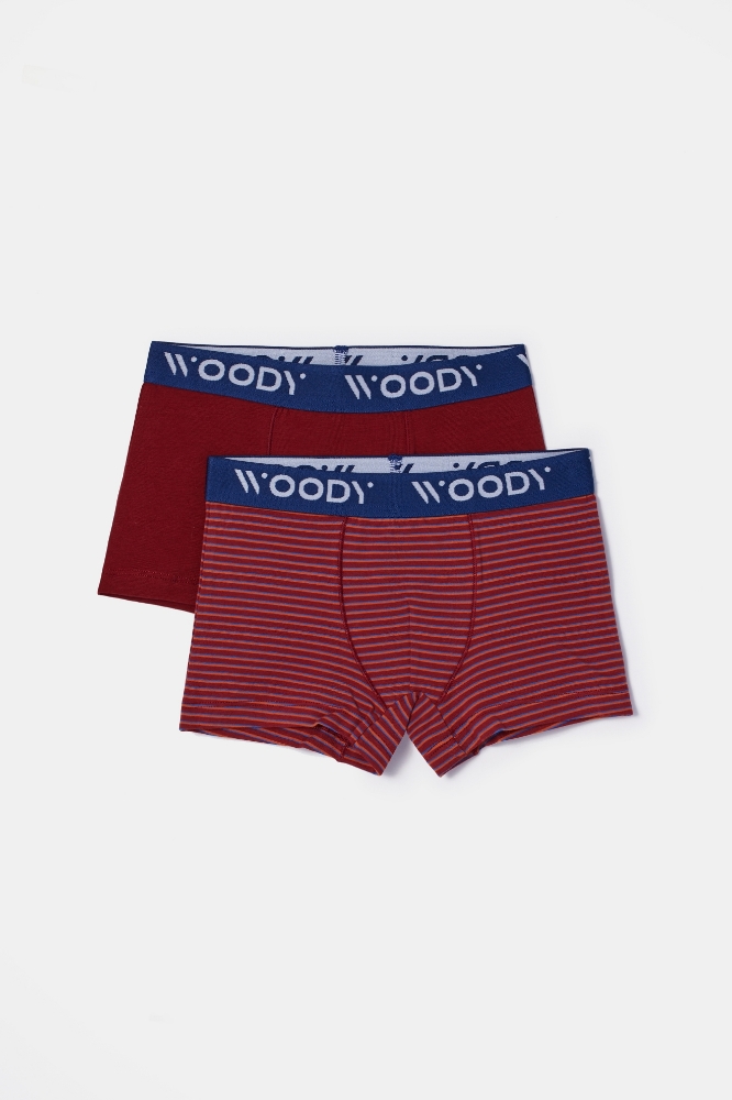 Boxer-Cld - 031 Pony Combo 1