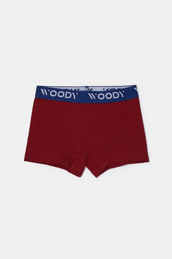 Boxer-Cld - 031 Pony Combo 1