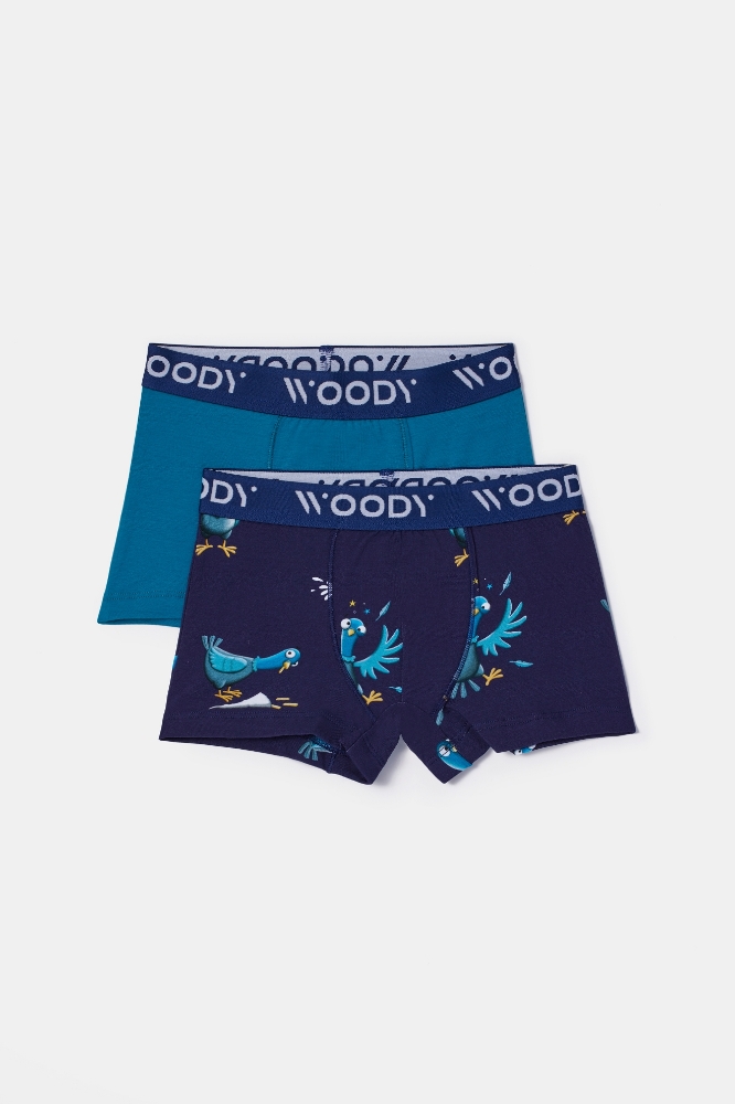 Boxer-Cld - 022 Pgeon Combo 2