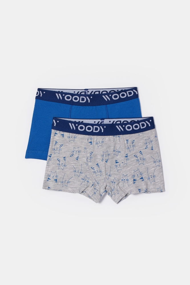 Boxer-Cld - 012 Cat Combo 2
