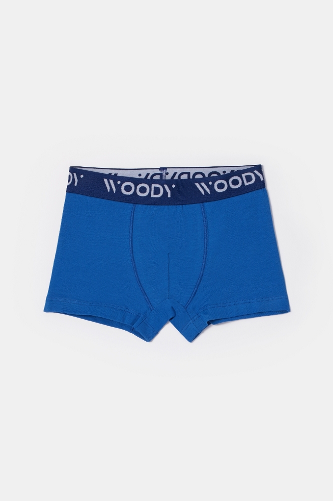 Boxer-Cld - 012 Cat Combo 2
