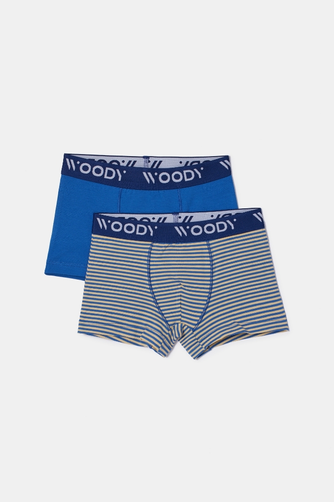 Boxer-Cld - 011 Cat Combo 1