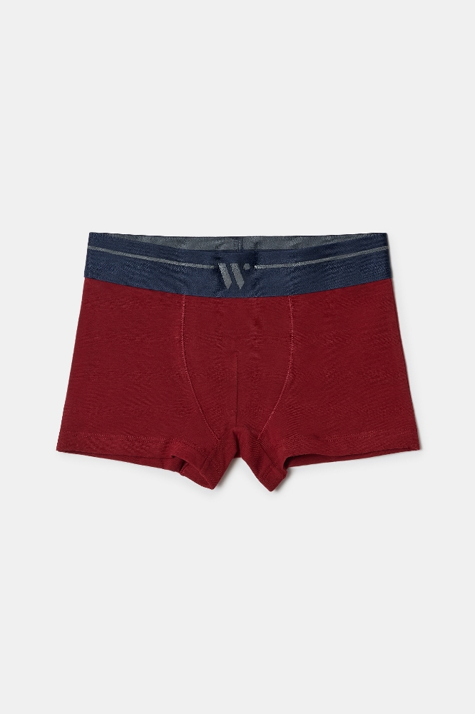 Boxer-Qlm - 031 Pony Combo 1