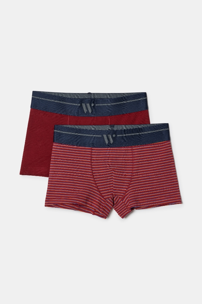 Boxer-Qlm - 031 Pony Combo 1
