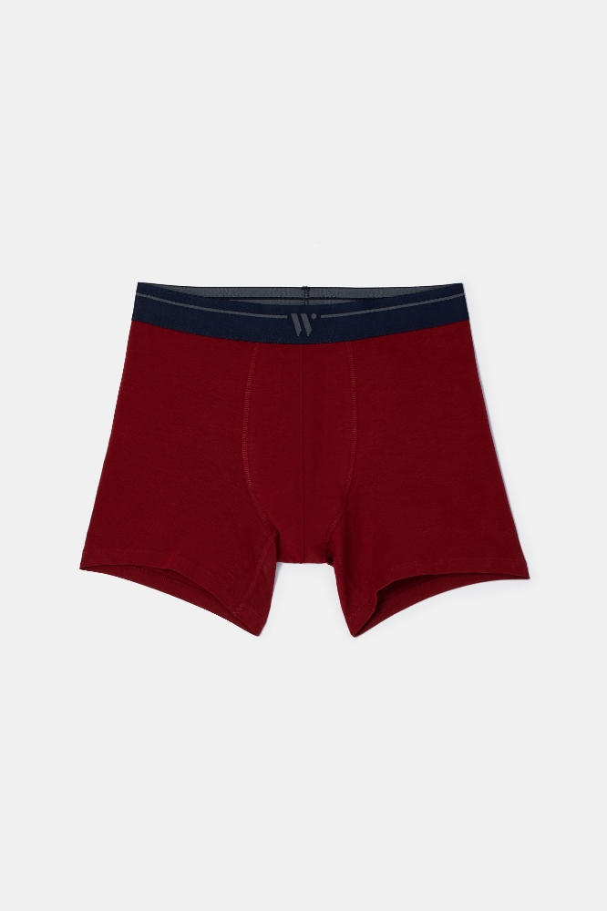 Boxer-Qlc - 033 Pony Combo 3