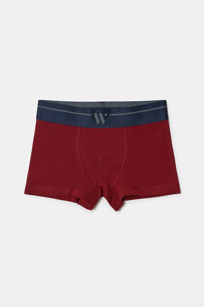 Boxer-Qlm - 031 Pony Combo 1