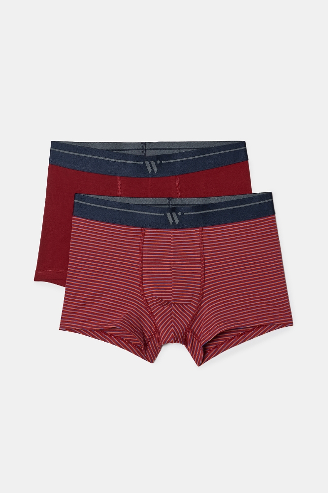 Boxer-Qlm - 031 Pony Combo 1