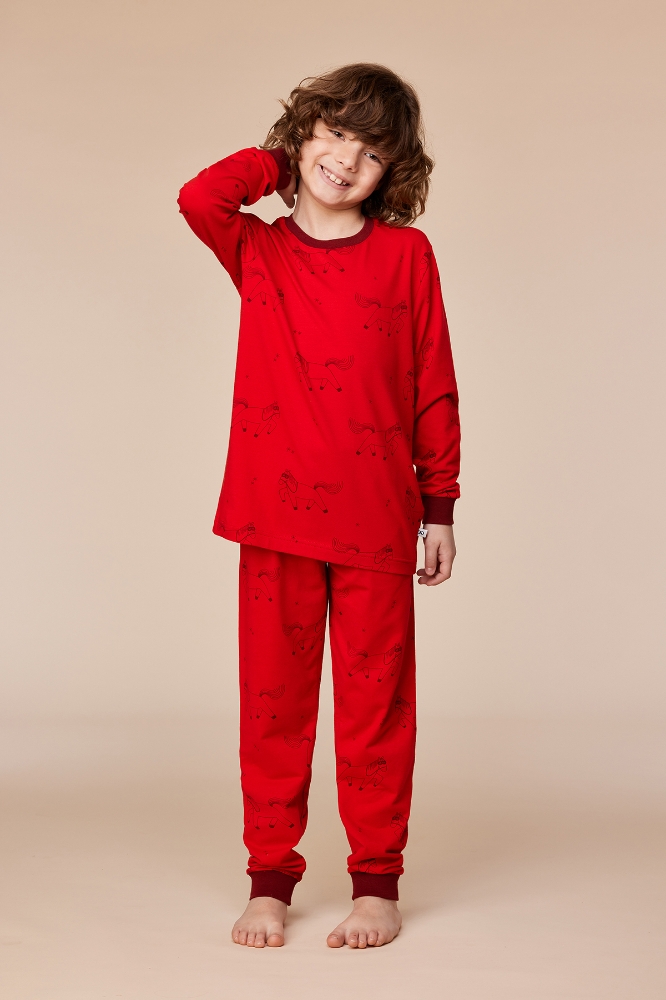 2-8 Yaş Erkek Pijama-Plc - 934 Z Aop Pony