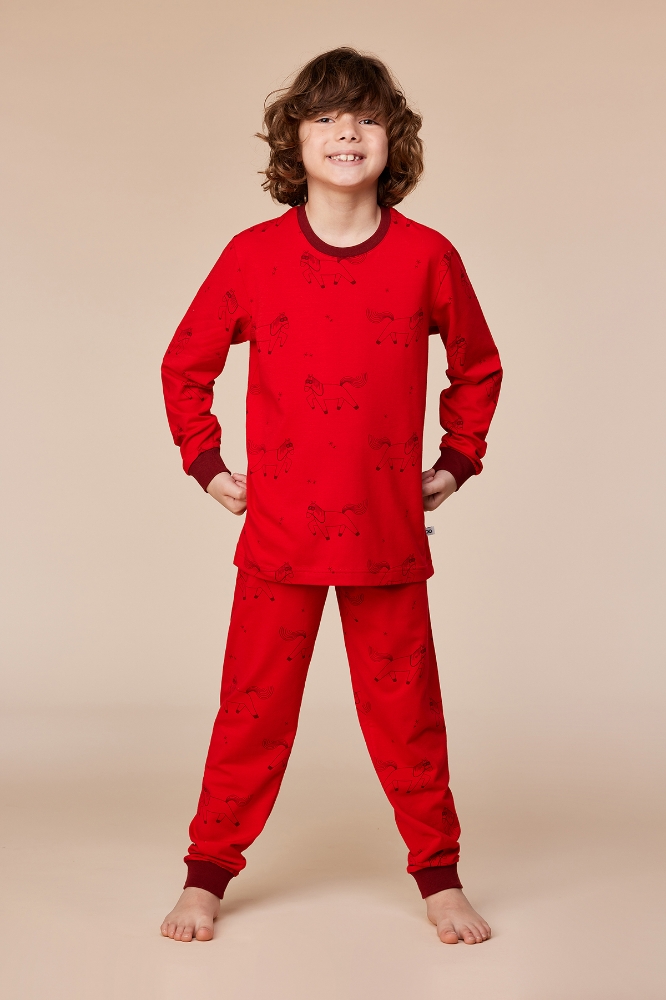 2-8 Yaş Erkek Pijama-Plc - 934 Z Aop Pony