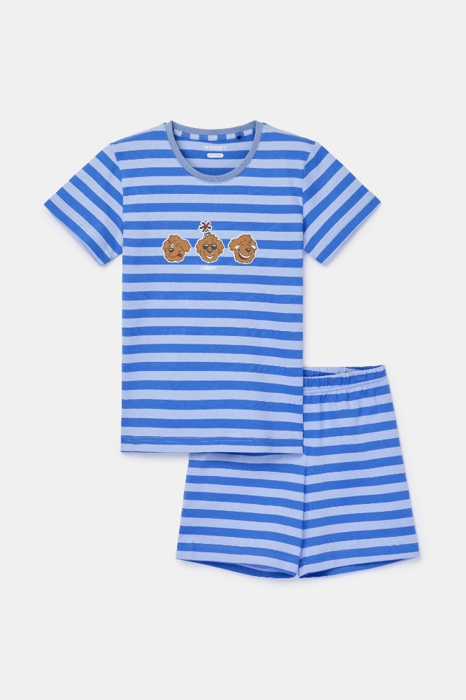 2-8 Yaş Erkek Çocuk Pijama-Pss - 962